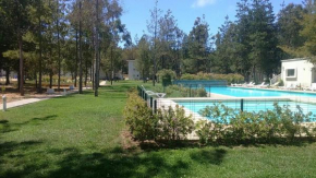 Algarrobo Bosques de la Candelaria